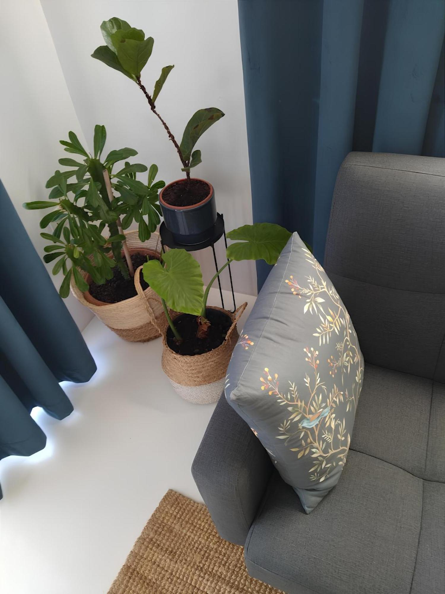 הוילה Zen Minimal Luxury Housing Tyros מראה חיצוני תמונה